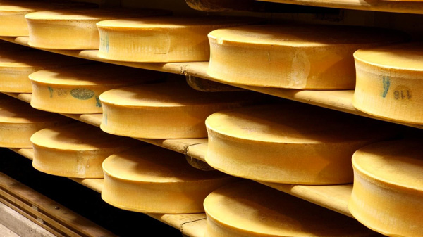 Affinage et conservation fromage