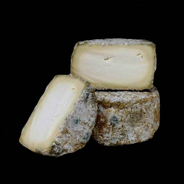 Bonde de gatine : fromage au lait cru de chèvre à pâte molle à croûte naturelle