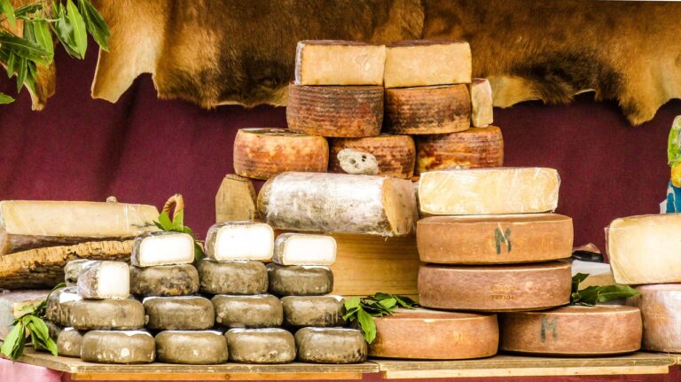Caractéristiques des fromages selon sa région
