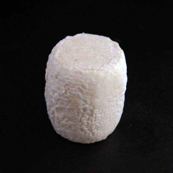 Chabis blanc ou Cendré