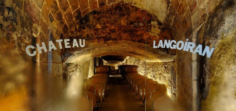 Interview de Nicolas FILOU, vigneron du Château Langoiran