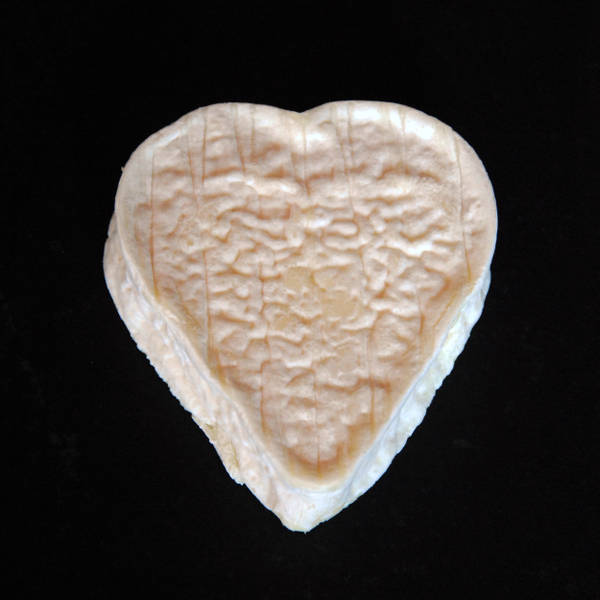 Coeur d'Alvignac : Fromage au lait cru de chèvre à pâte molle à croûte naturelle