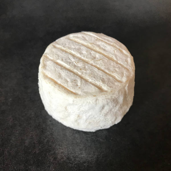 Crottin Blanc : fromage de chèvre au lait cru