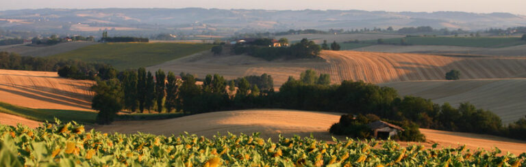 Interview de Philippe SIEBERT : Vigneron du Domaine du Have