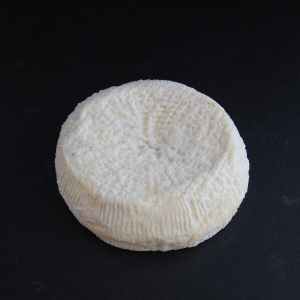 Elgines : fromage fermier au lait cru de chèvre