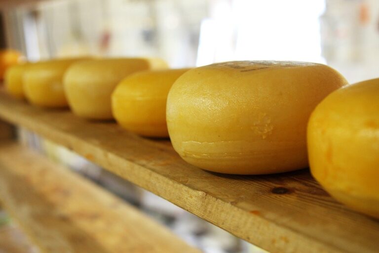 Est-ce que le fromage donne des flatulences