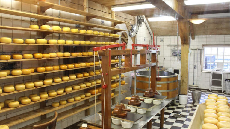 Pourquoi la taille et les formes des fromages varient ?