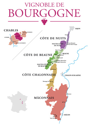 Les vins de Bourgogne : 2ème grand vignoble Français