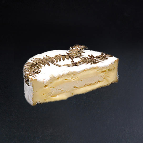 Fougerou : fromage au lait de Vache