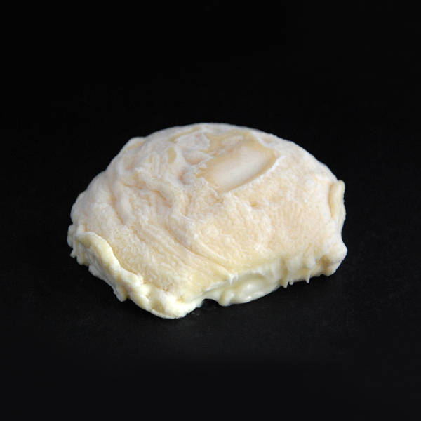 Galletout : fromage à croûte naturelle au lait cru de chèvre