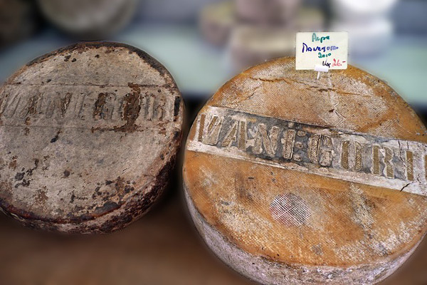 Le plus vieux fromage