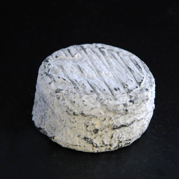 Palet de chèvre cendré : fromage au lait cru de chèvre à pâte molle à croûte naturelle