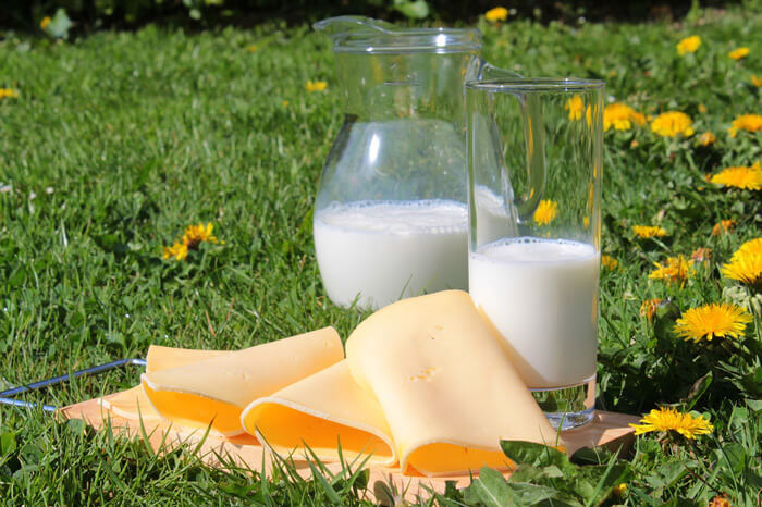Production de lait Fromage