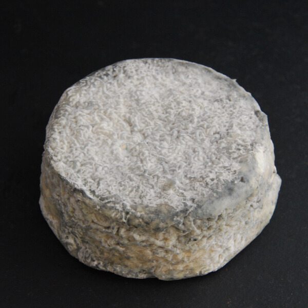 Le Selles−sur−Cher : fromage au lait cru de chèvre