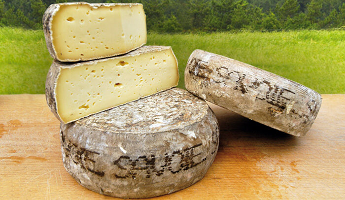 Différence entre fromage tomme et tome