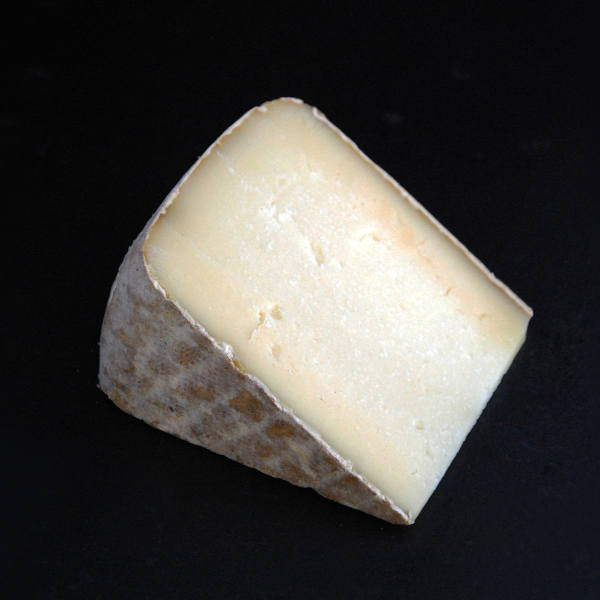 Tomme de brebis affinée Tunnel : Fromage au lait cru de Vache à pâte pressée non cuite