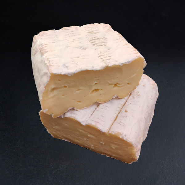 Brique de Jussac