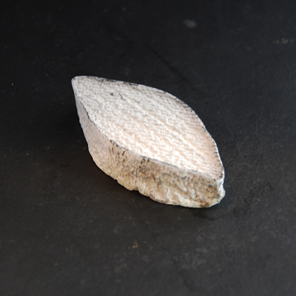 Calisson cendré de chèvre