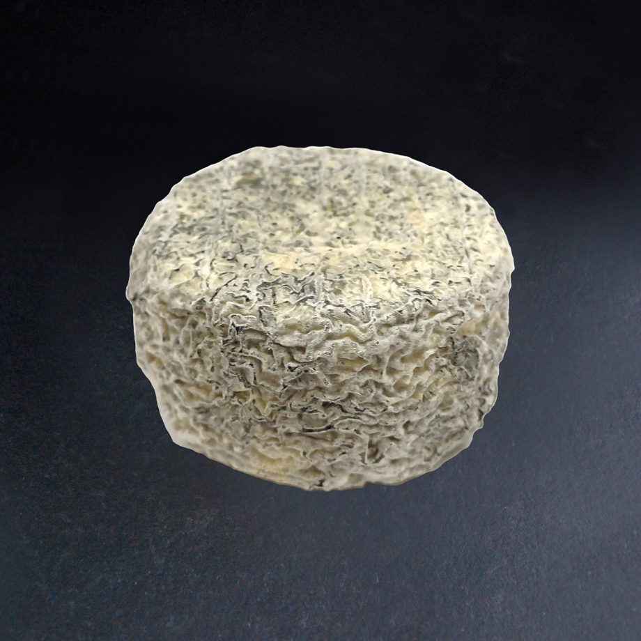 Petit Perche cendré