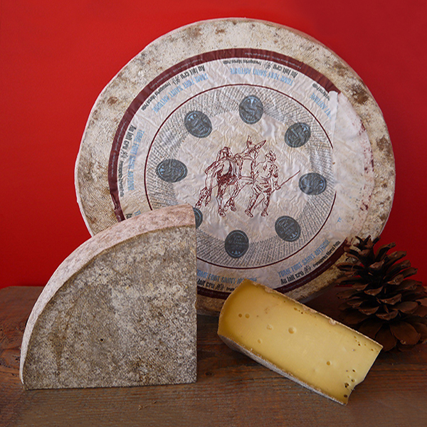 La Tome Fort Saint Antoine est un fromage au lait cru de vache, à pâte pressée non cuite.