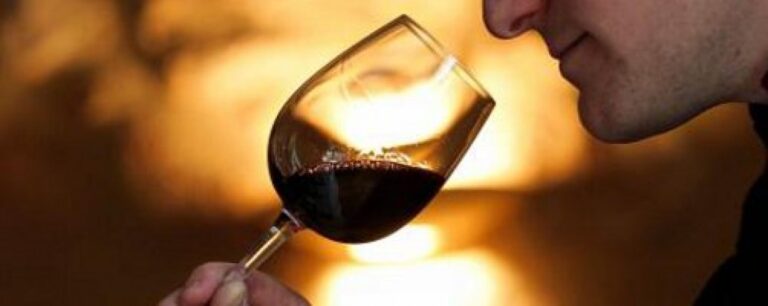 degustation- vin