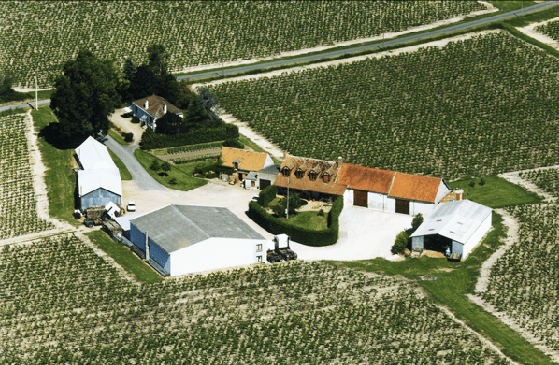 Interview de Pascal JOUSSELIN, Vigneron du Domaine du Rin du Bois