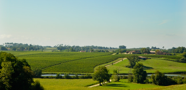 Interview de M. PIFFARD, Vigneron du domaine de Papolle