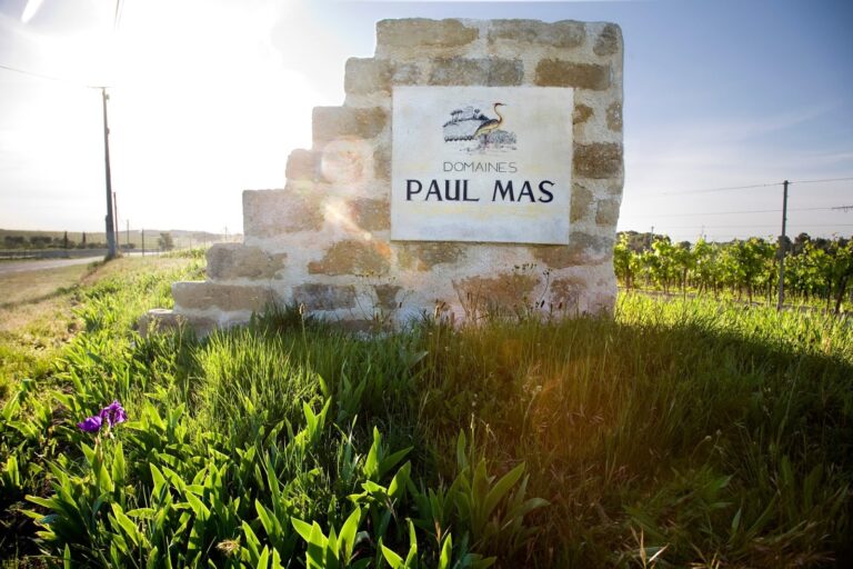 Interview du Domaine Paul Mas, Ambassadeurs du Domaine des Crès Ricards