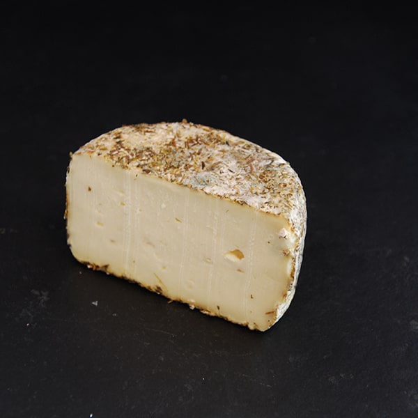 Fleur du Maquis Corse