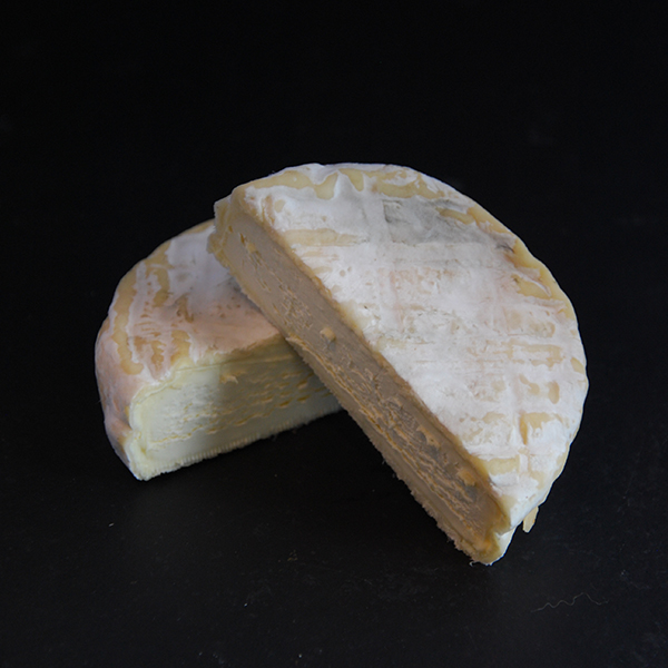 Galet de la Loire