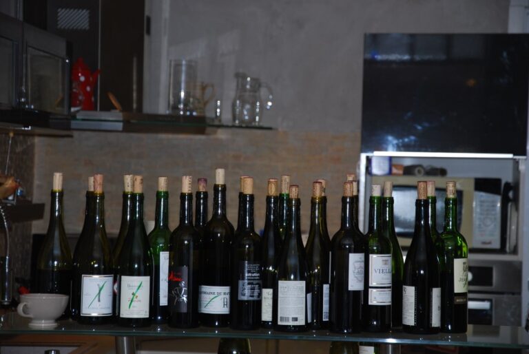 La fin de la dégustation_Une partie des bouteilles dégustées