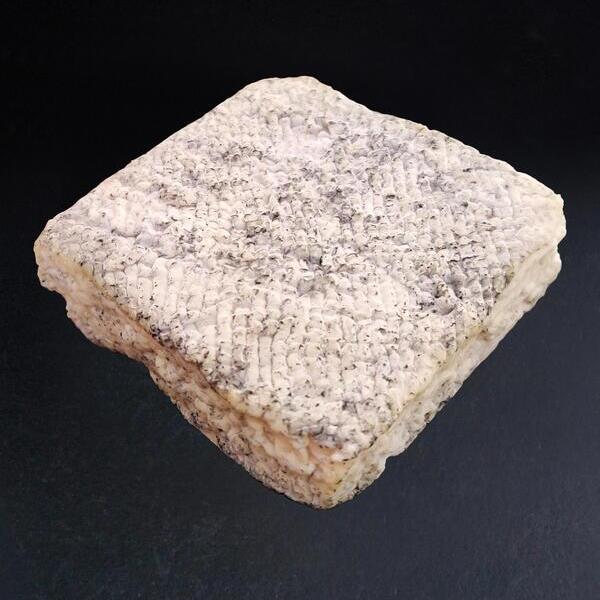 Pavé du Poitou cendré