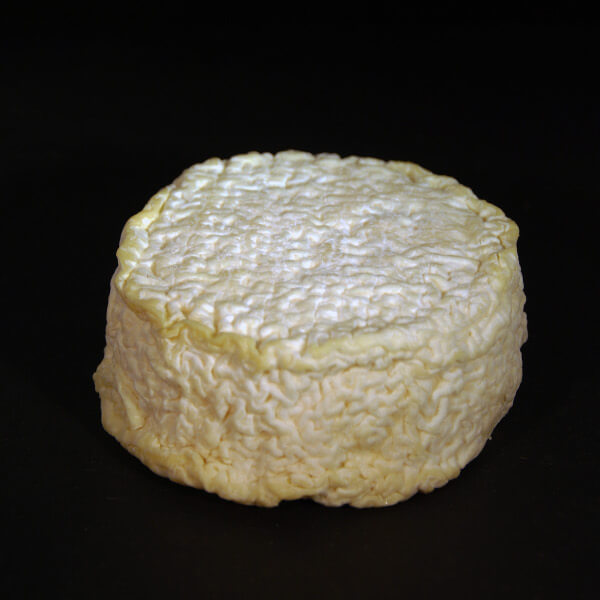 saulzais : Fromage au lait cru de Brebis