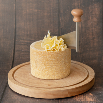 Tête de Moine : fromage Suisse à pâte pressée